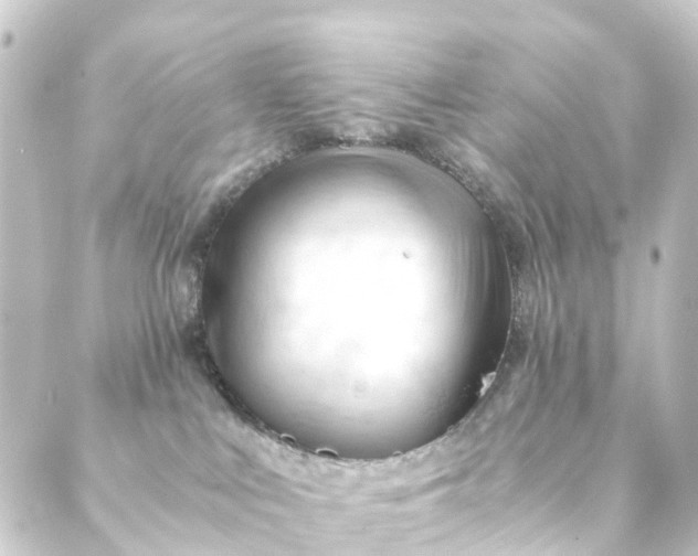 X0000088910043200706221940