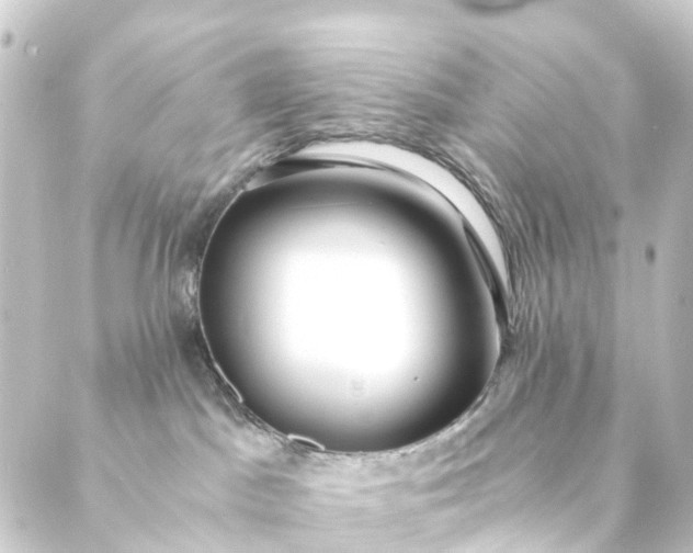 X0000088910045200706221940