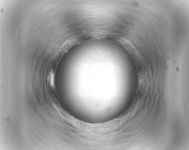 X0000088910046200706221940