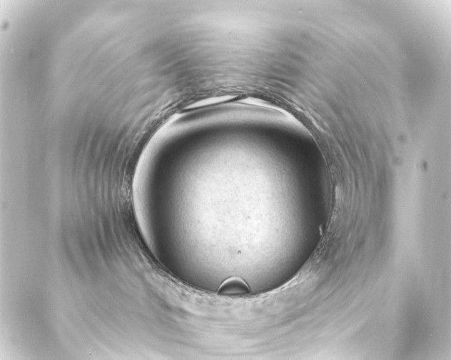 X0000088910048200706221940