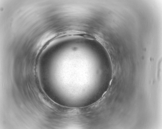 X0000088910050200706221939