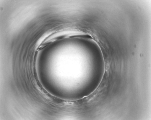 X0000088910052200706221939