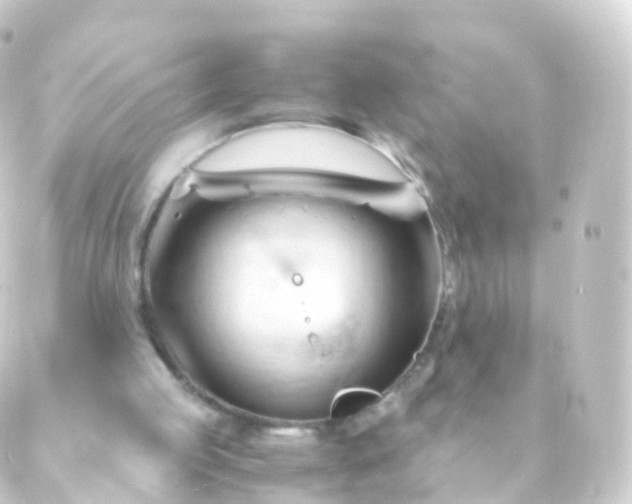 X0000088910053200706221939