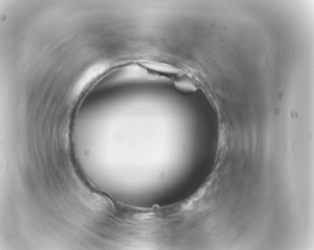 X0000088910054200706221939