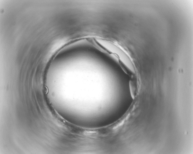 X0000088910055200706221939