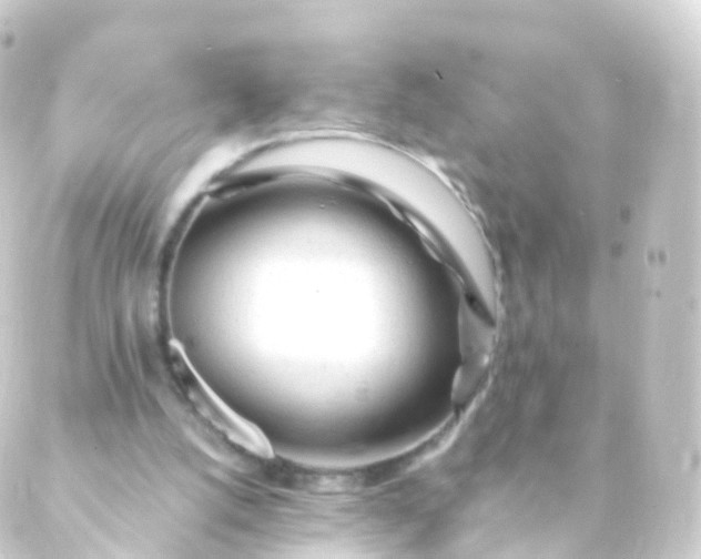 X0000088910056200706221939