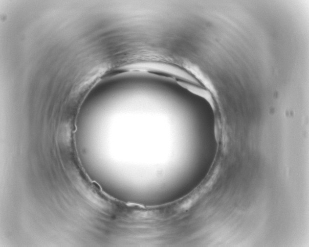 X0000088910057200706221940