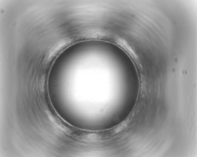 X0000088910058200706221940