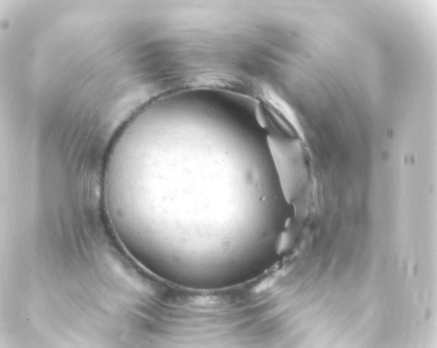 X0000088910059200706221940