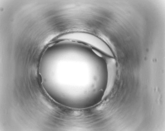 X0000088910060200706221940