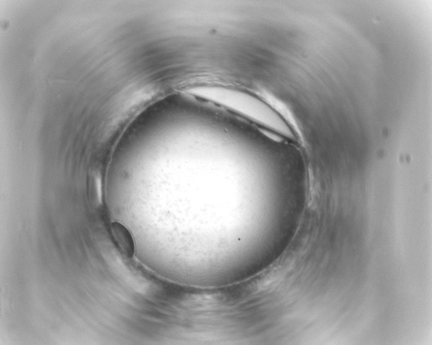 X0000088910061200706221940