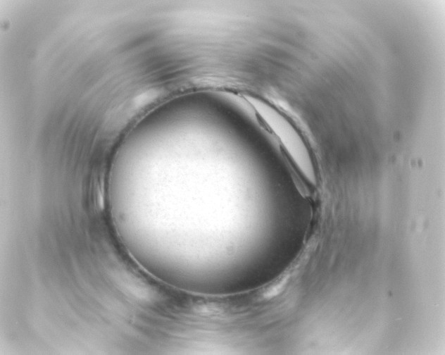 X0000088910062200706221940