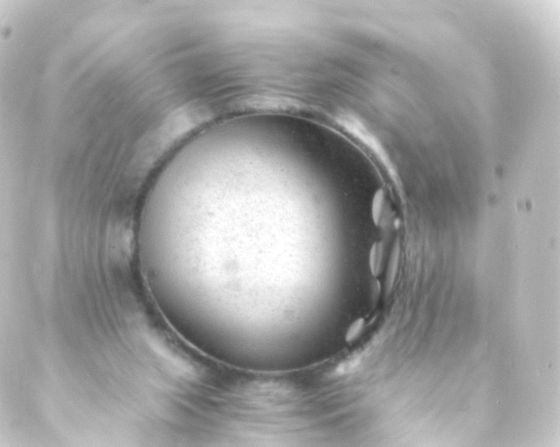 X0000088910063200706221940