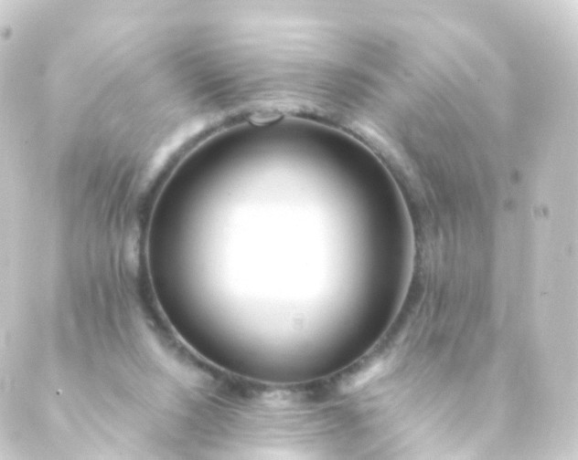 X0000088910064200706221940