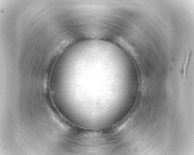 X0000088910065200706221940