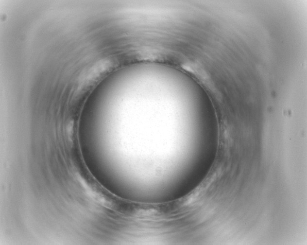 X0000088910066200706221940