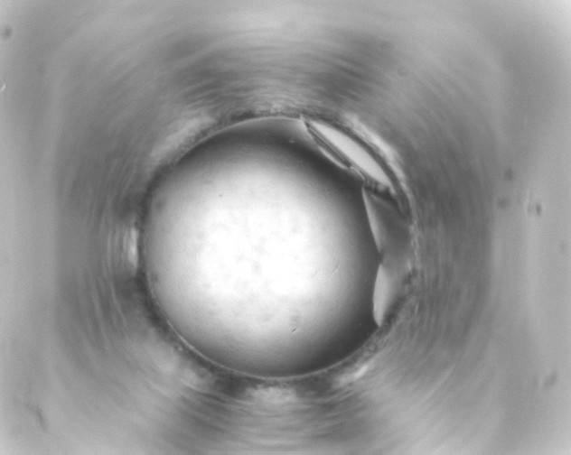 X0000088910067200706221940