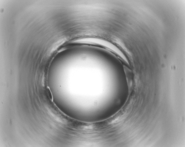 X0000088910068200706221940