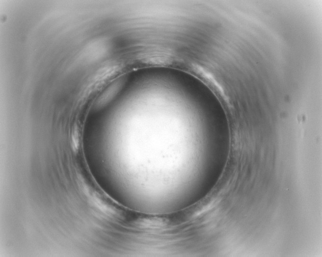 X0000088910069200706221940