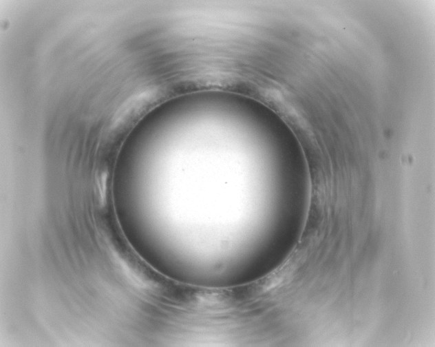 X0000088910070200706221940