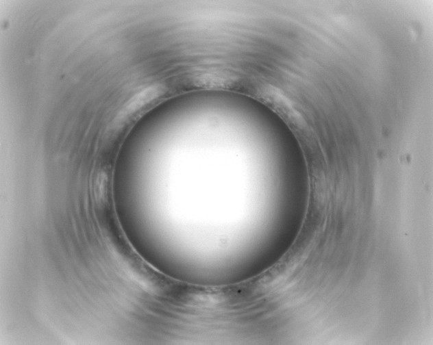 X0000088910071200706221940