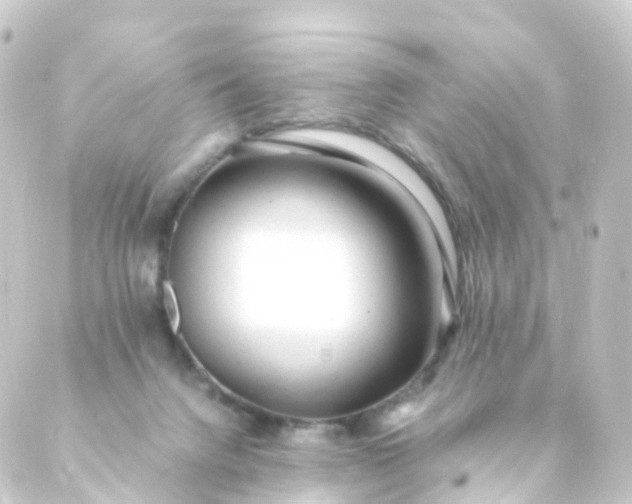 X0000088910072200706221940