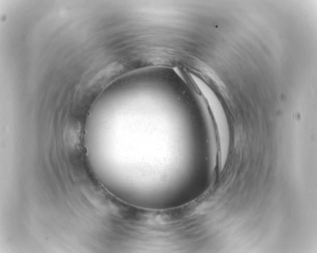 X0000088910073200706221940