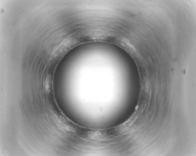 X0000088910074200706221940