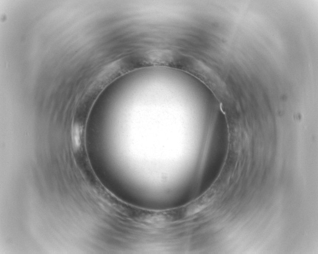 X0000088910075200706221940