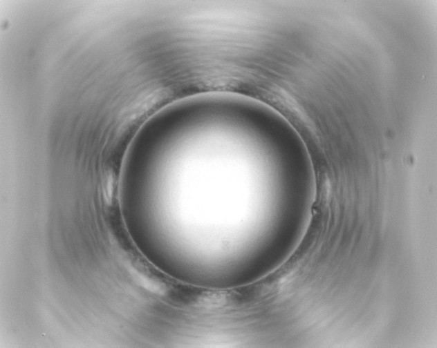 X0000088910076200706221940