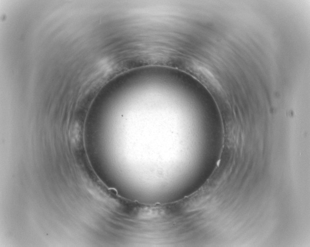 X0000088910077200706221940