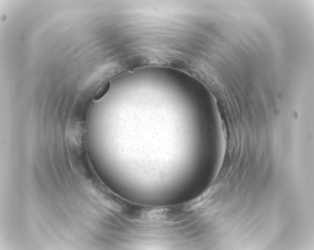 X0000088910078200706221940