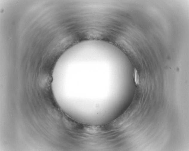 X0000088910079200706221940