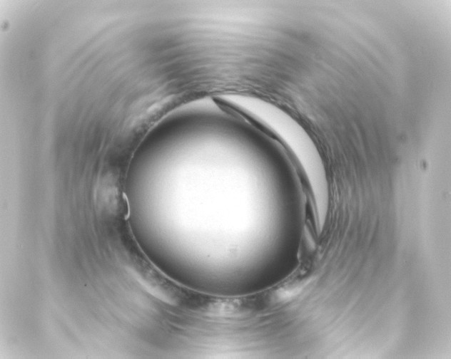 X0000088910080200706221940