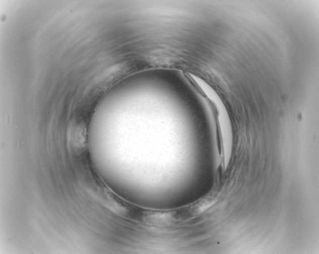 X0000088910081200706221940