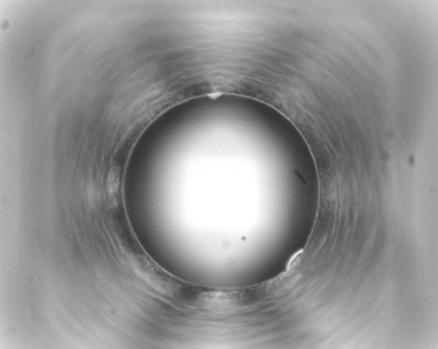 X0000088910082200706221940