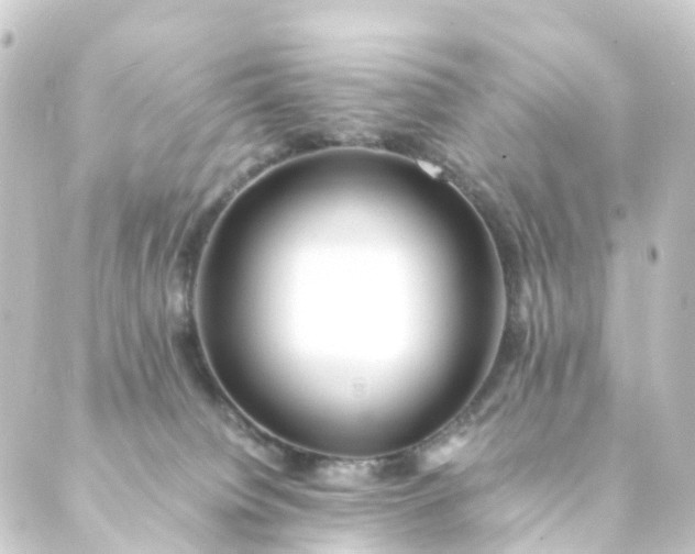 X0000088910084200706221940