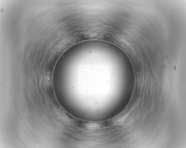 X0000088910085200706221940