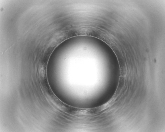 X0000088910086200706221940