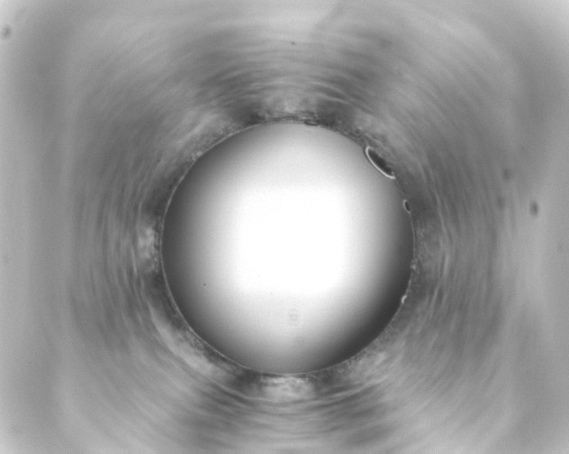 X0000088910087200706221940