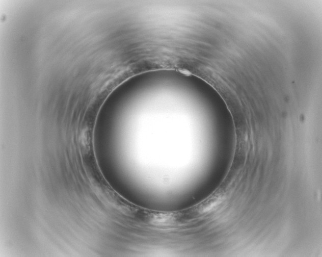 X0000088910088200706221940