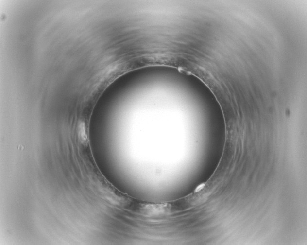 X0000088910089200706221940