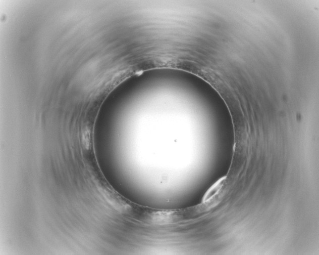 X0000088910090200706221940