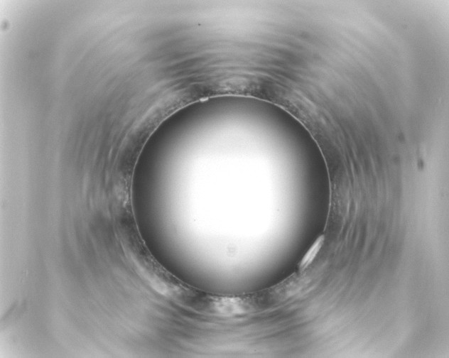 X0000088910091200706221940