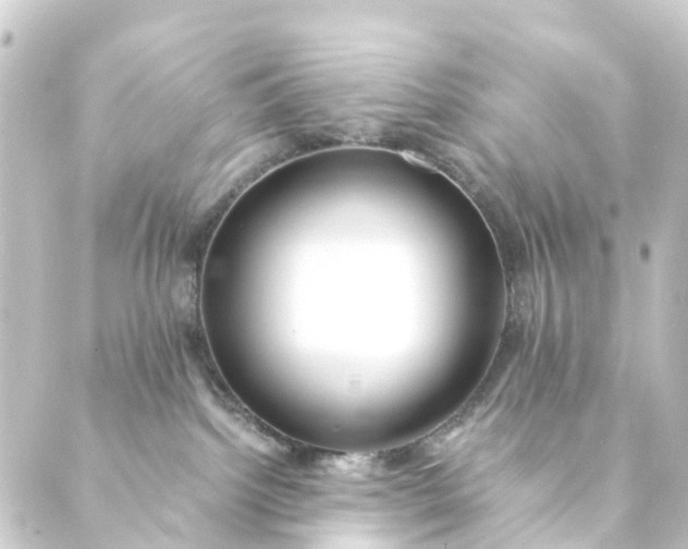 X0000088910092200706221940