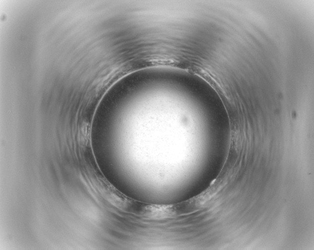 X0000088910093200706221940