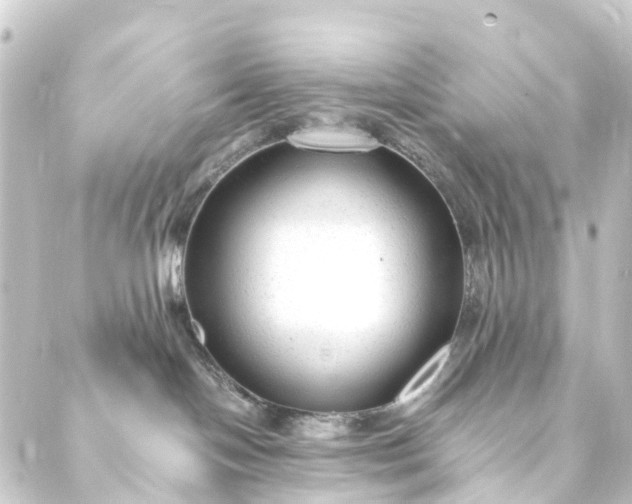 X0000088910094200706221940