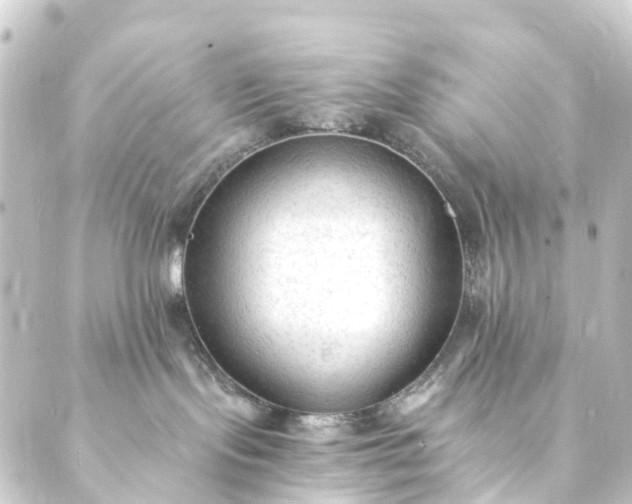 X0000088910095200706221940