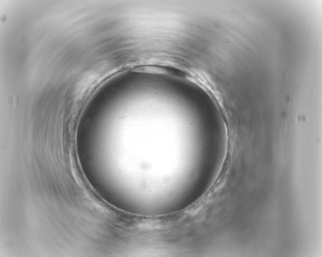 X0000088910097200706221939