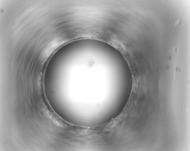 X0000088910098200706221939